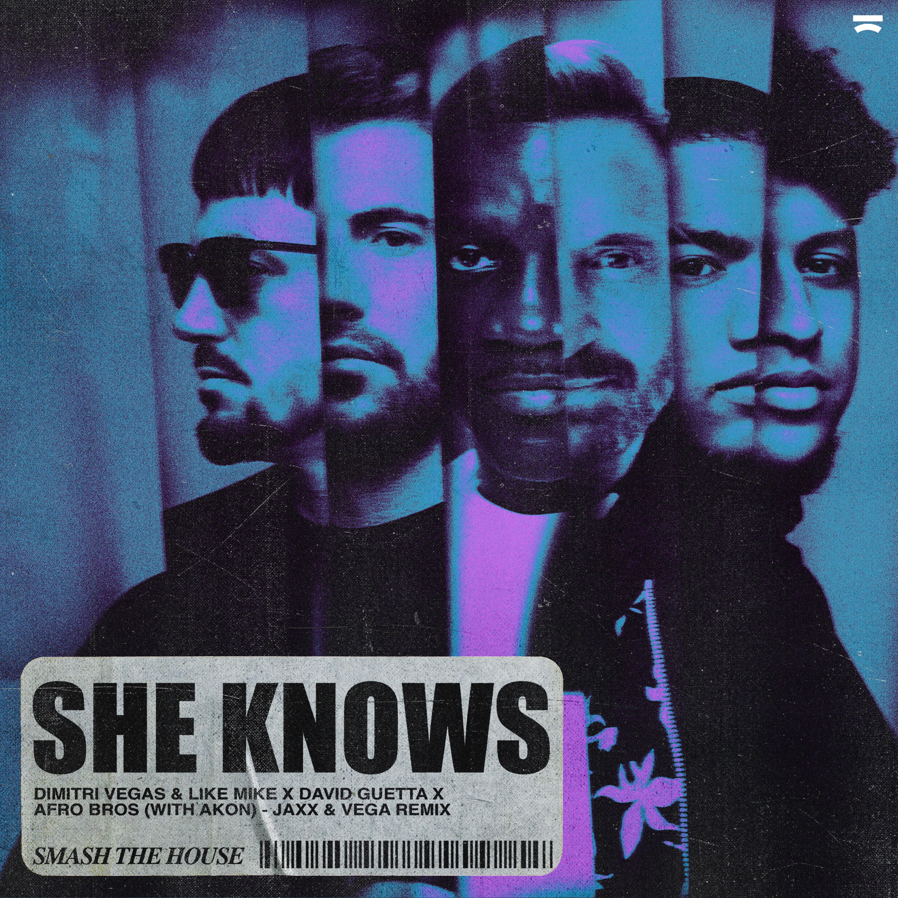 She Knows (with Akon) [Jaxx & Vega Remix] - Single album cover