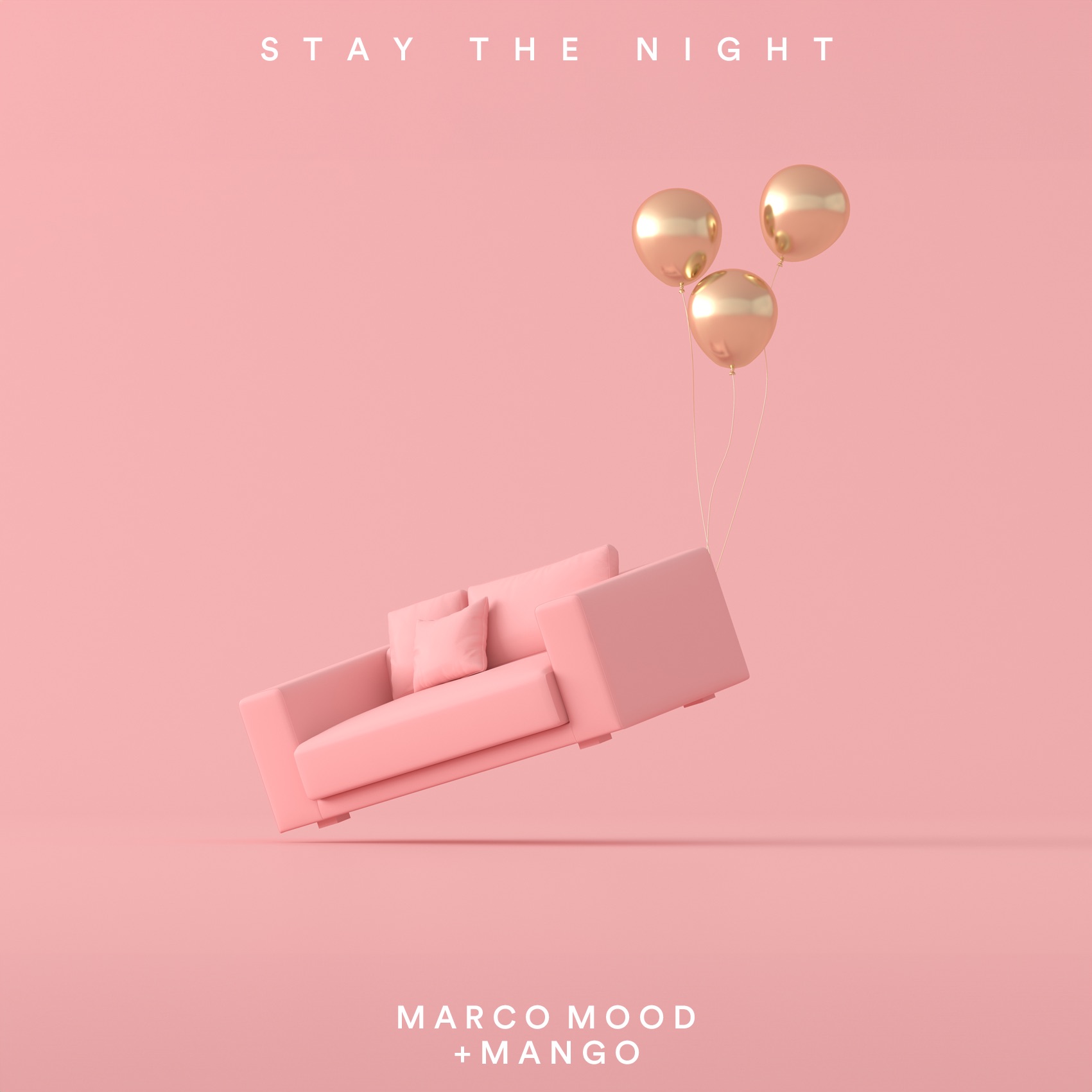 Stay the Night - Single album cover