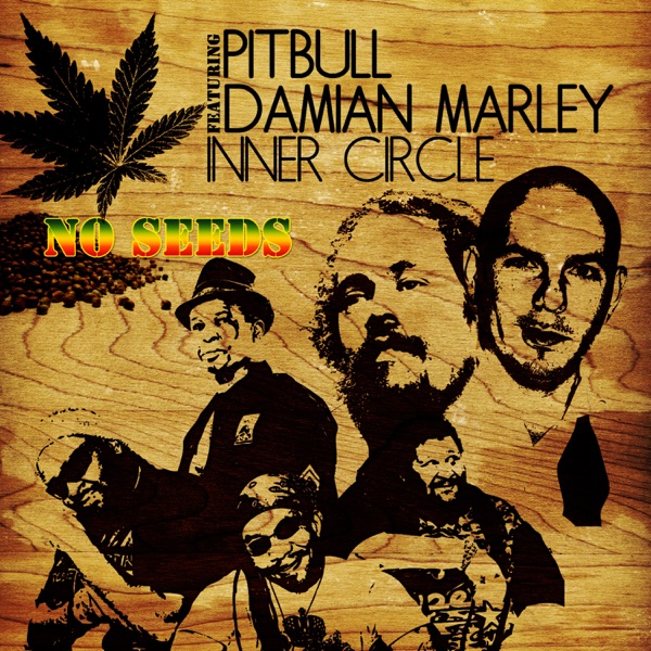 No Seeds (Smoke Remix) - Single album cover