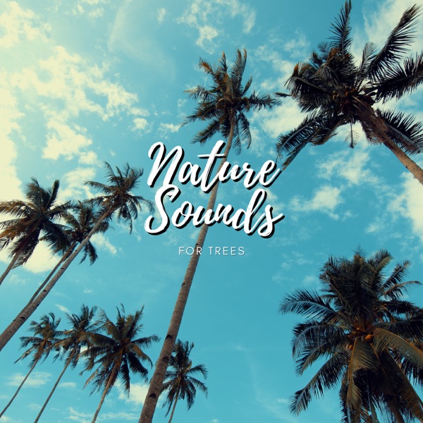 Nature Sounds For Sleep album cover