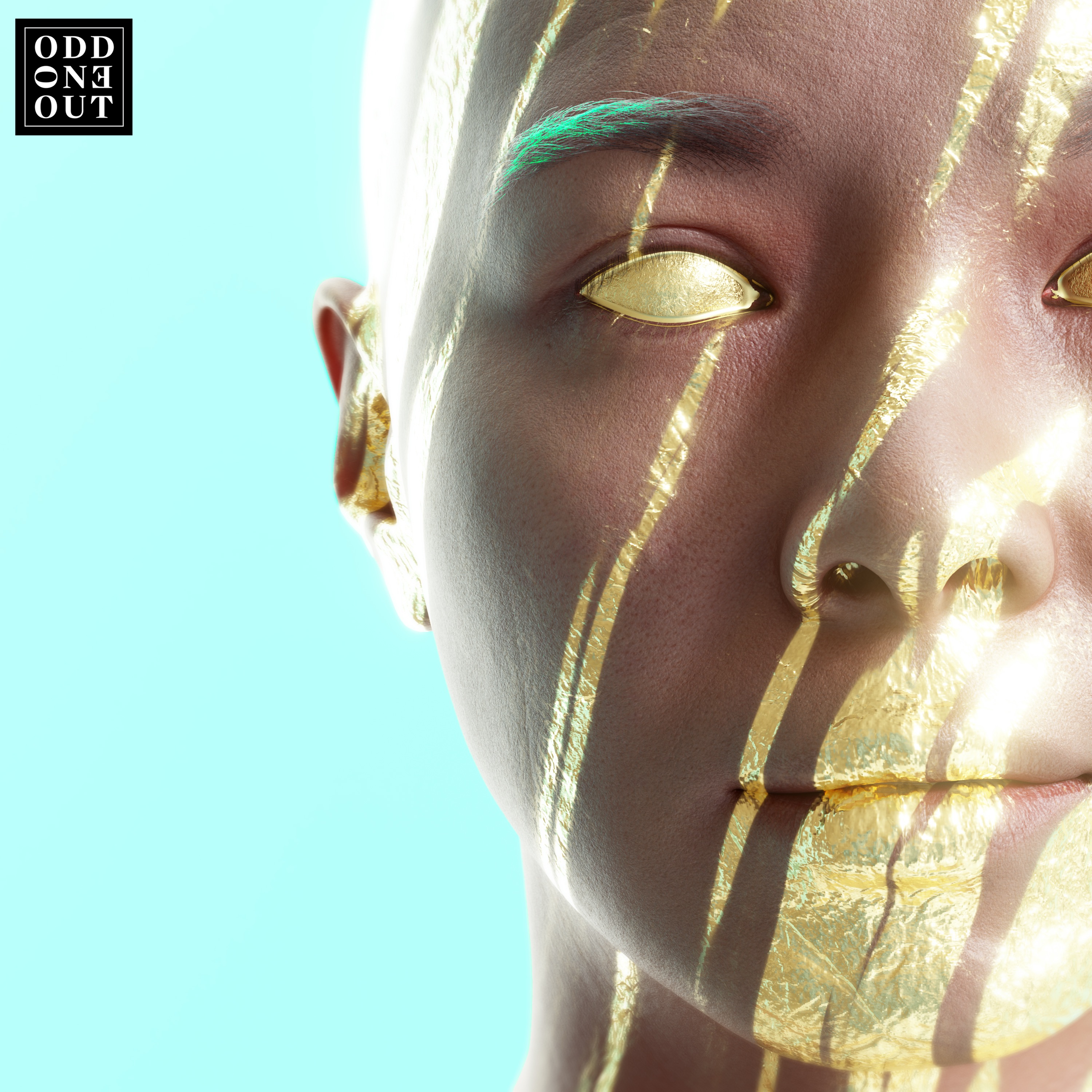 Shelter - Single album cover