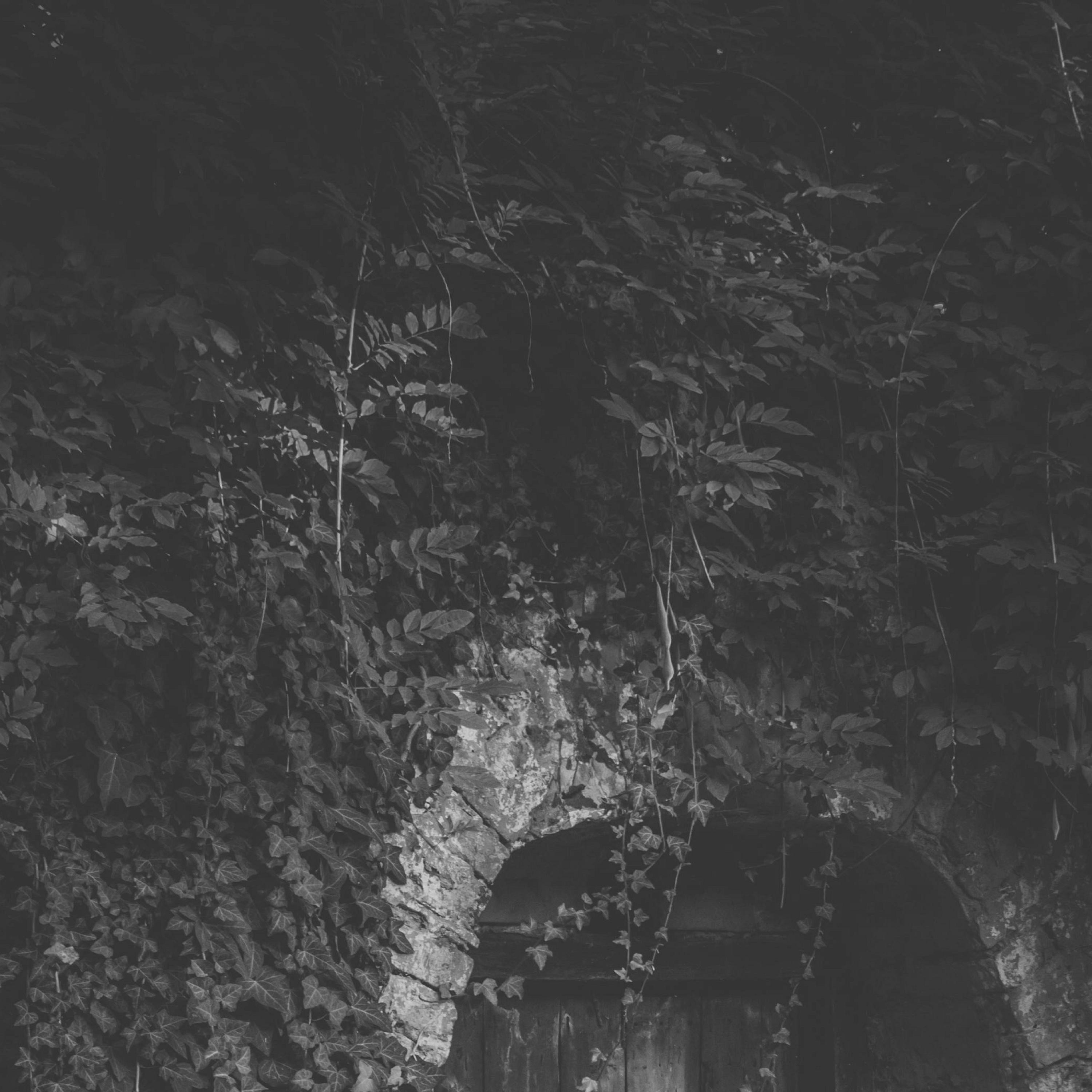 Frizzell & Duque: Orison (Single) - Single album cover