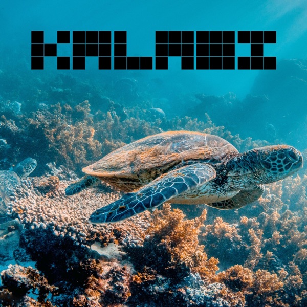 Sea Song - Single album cover