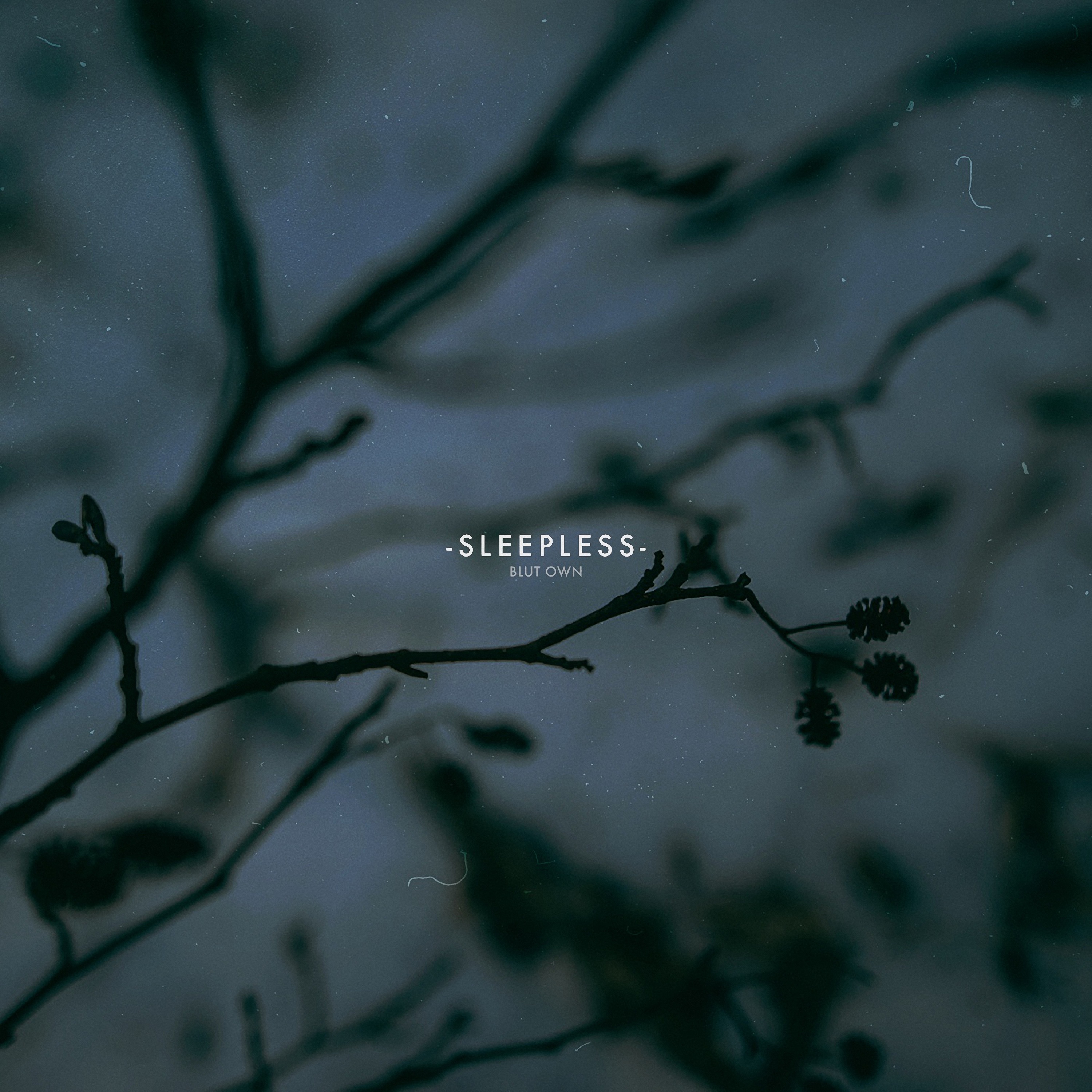 Sleepless - Single album cover