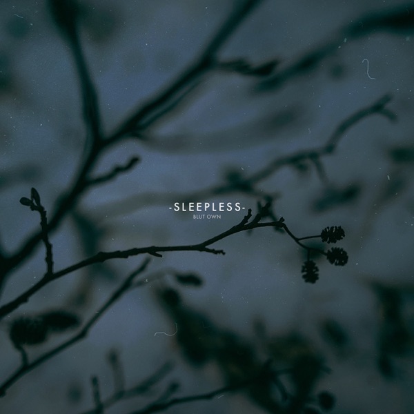 Sleepless - Single album cover