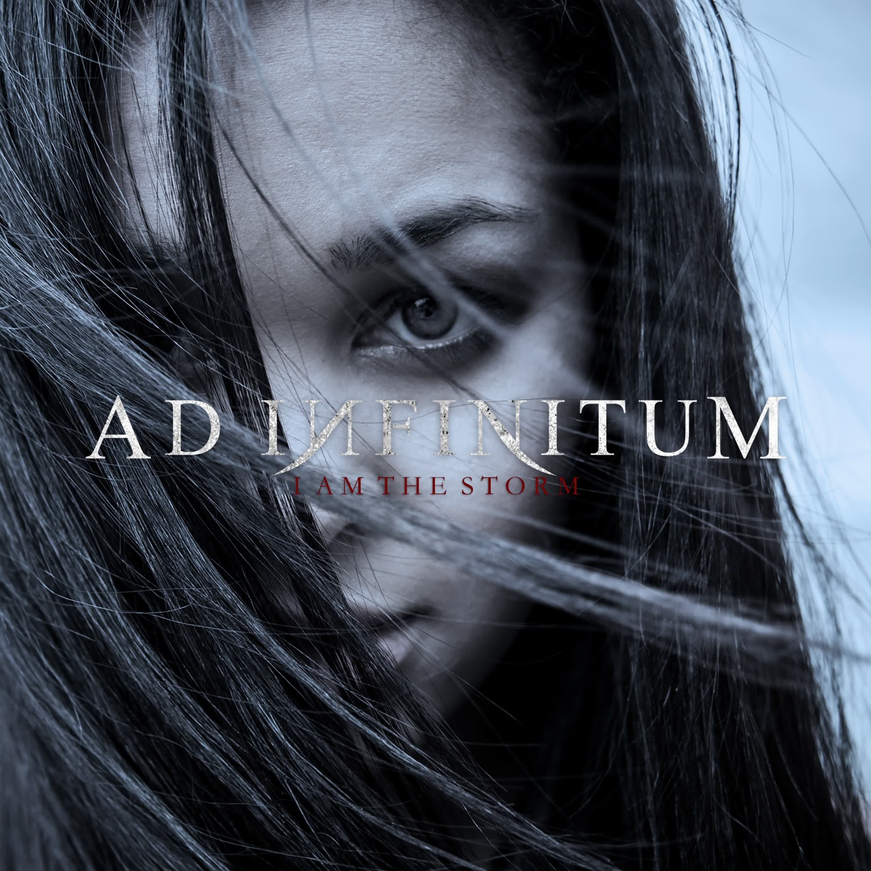 I Am the Storm - Single album cover
