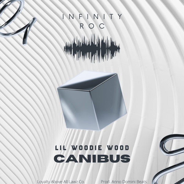 Infinity Roc (feat. Canibus) - Single album cover
