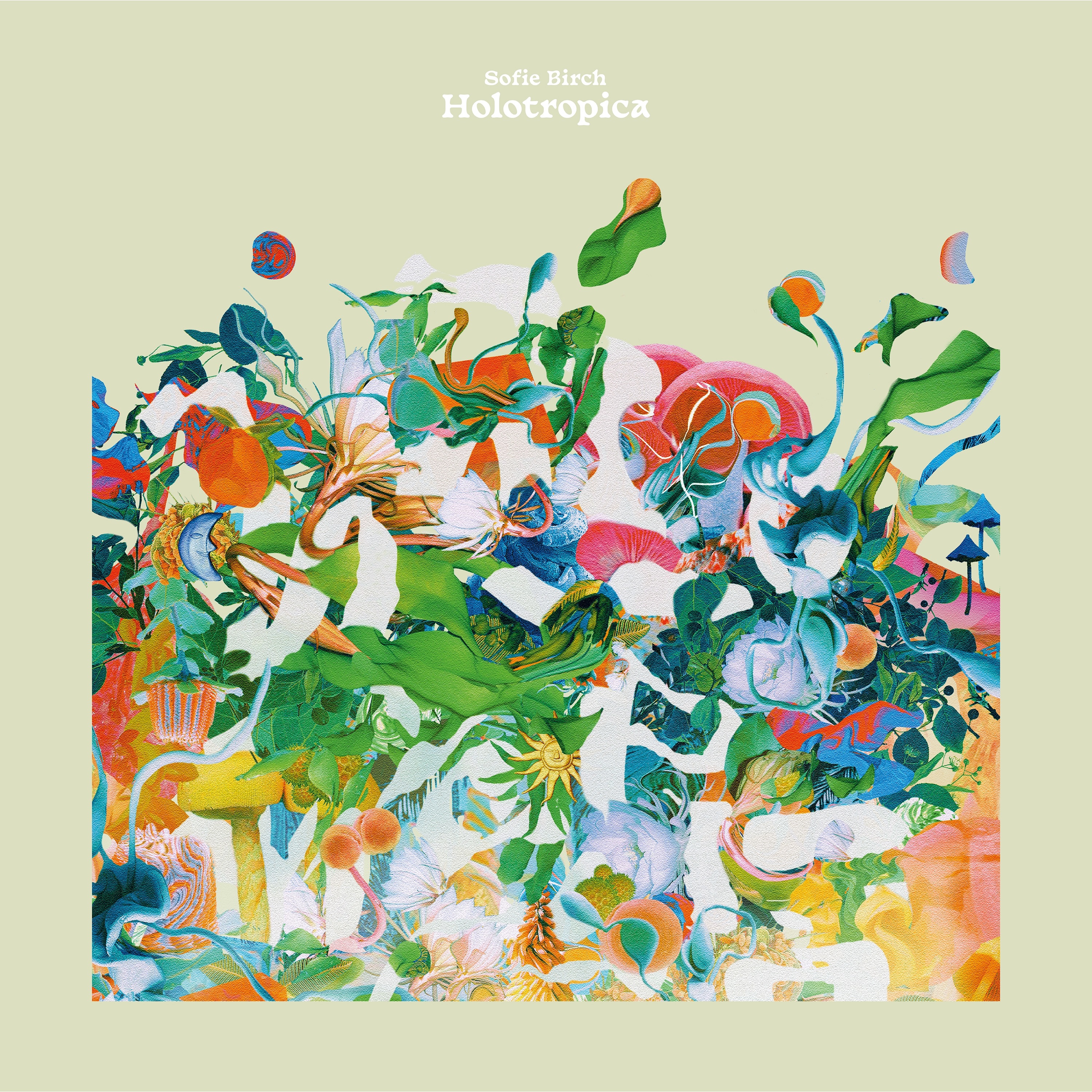Holotropica album cover