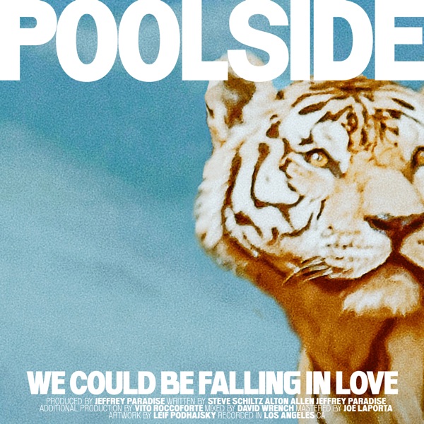 We Could Be Falling In Love (Edit) - Single album cover