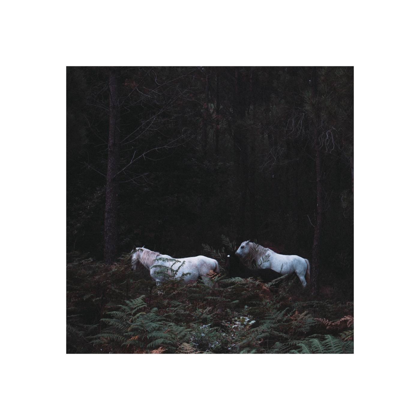 Gone (ORI remake) [feat. Yehezkel Raz] - Single album cover