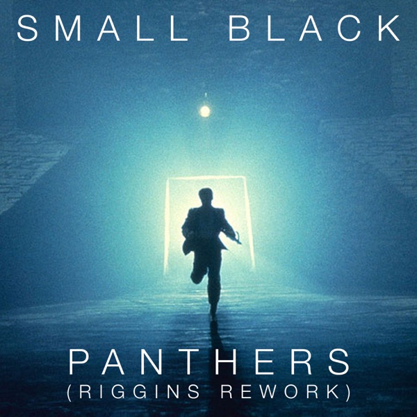 Panthers (Riggins Rework) - Single album cover