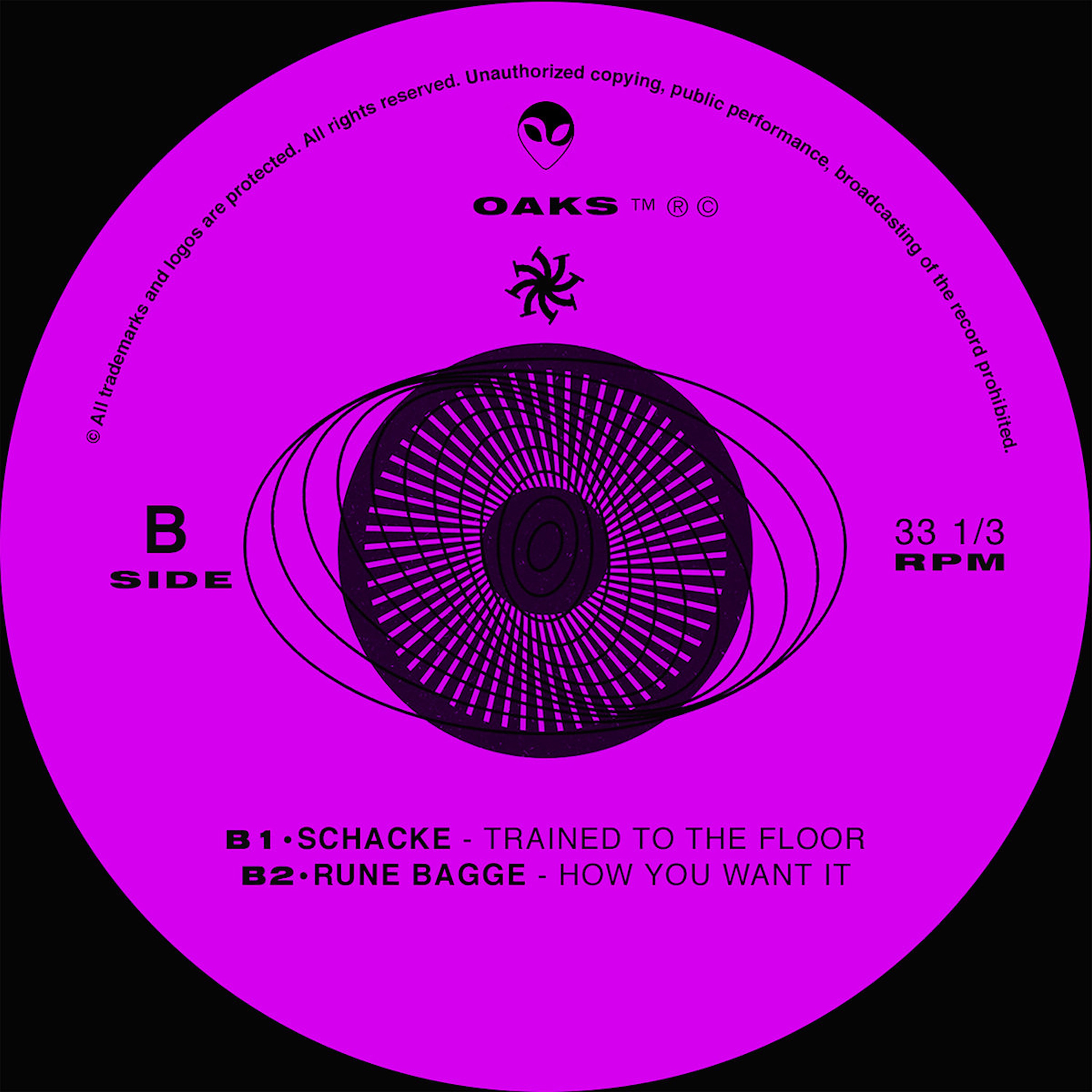 Feeding the Chaos - Single album cover