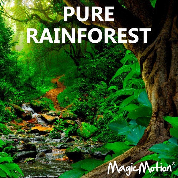 Pure Rainforest album cover