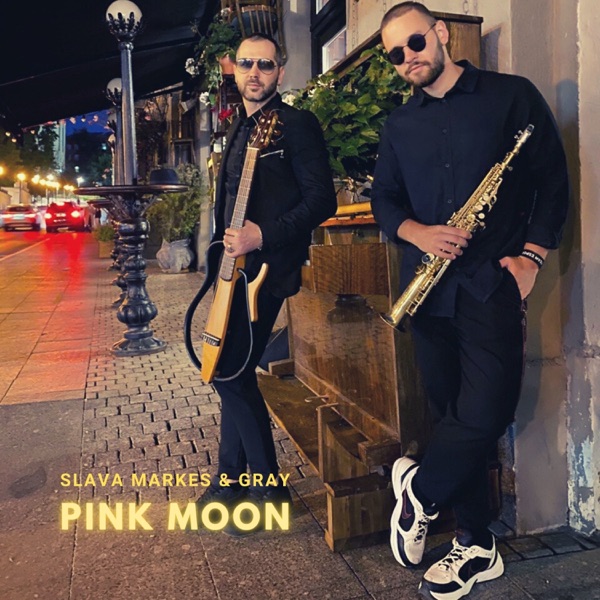 Pink Moon (feat. Gray) - Single album cover