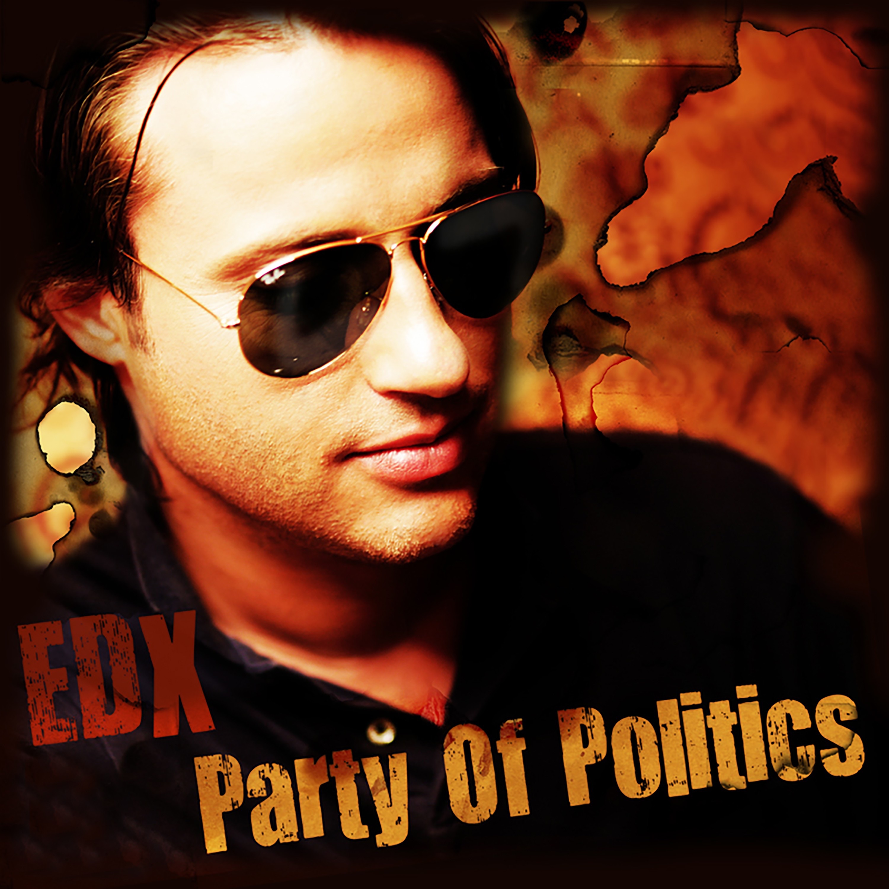 Party of Politics (Remixes) album cover