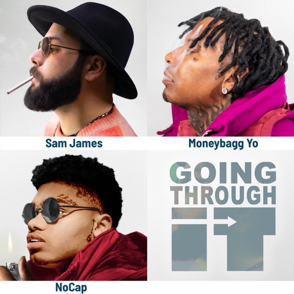 Going Through It (feat. Moneybagg Yo & NoCap) - Single album cover