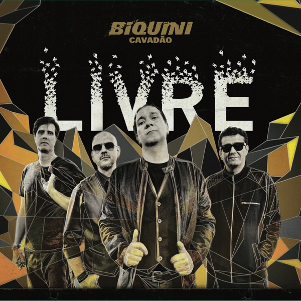 Livre - Single album cover