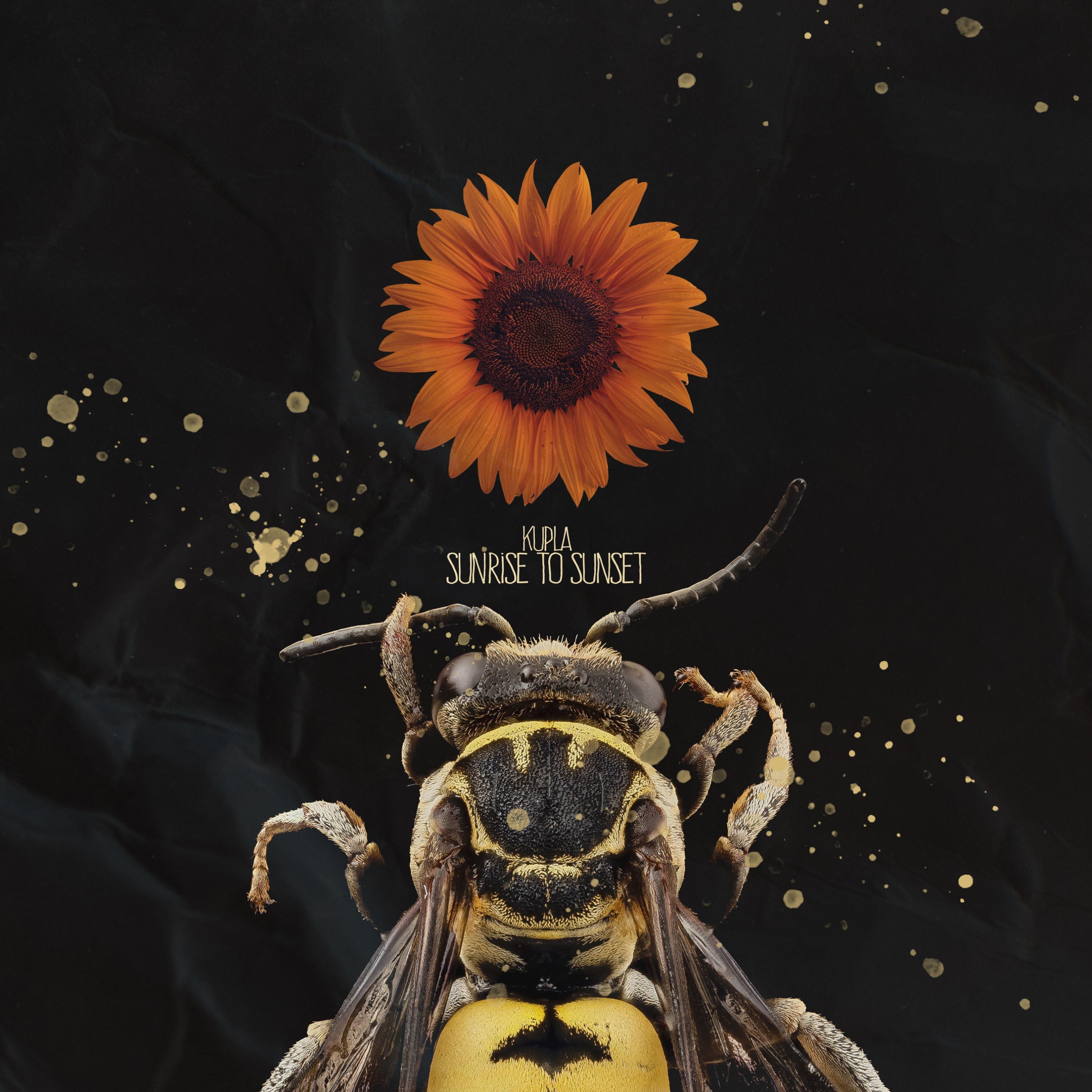 Sunrise To Sunset - Single album cover