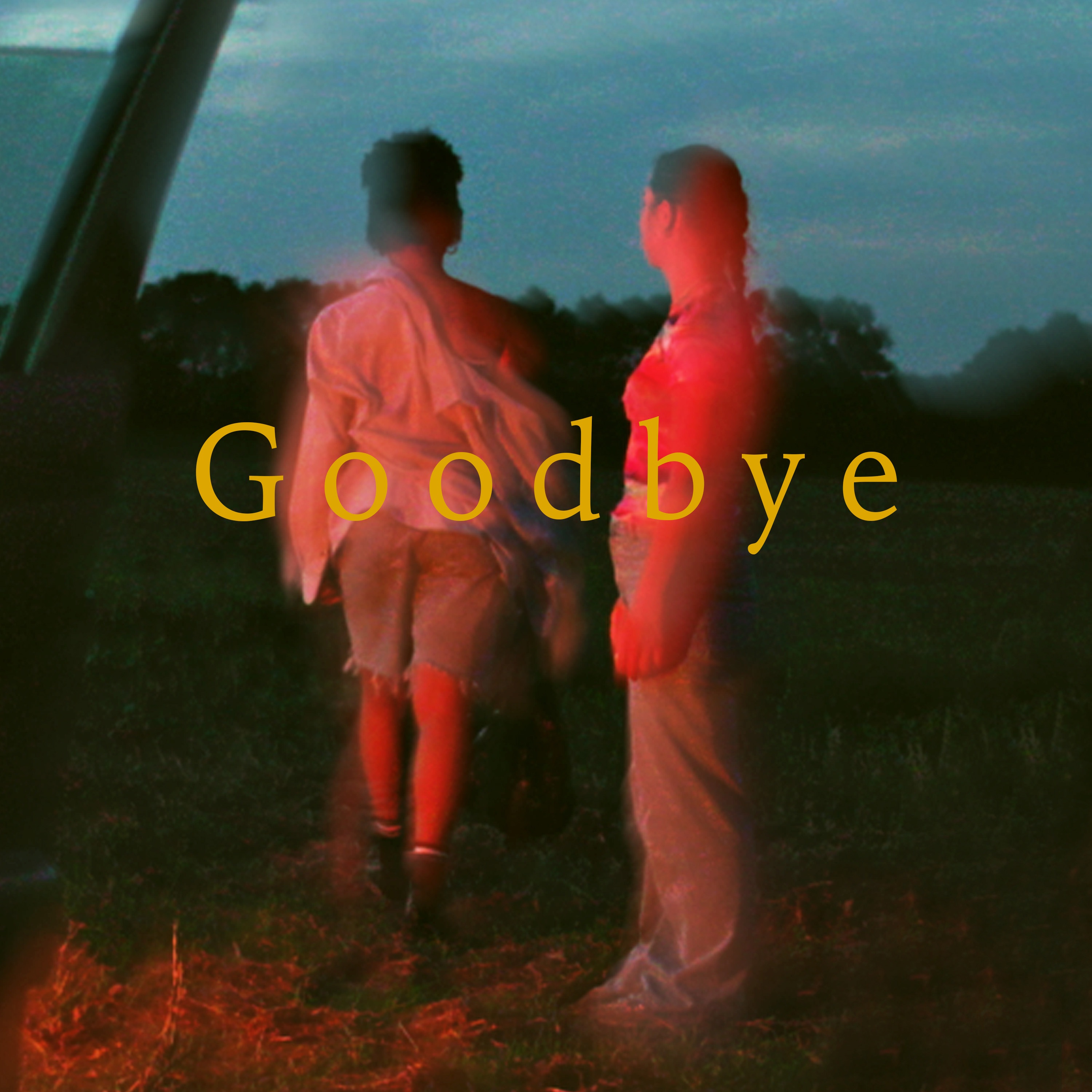 Goodbye - Single album cover