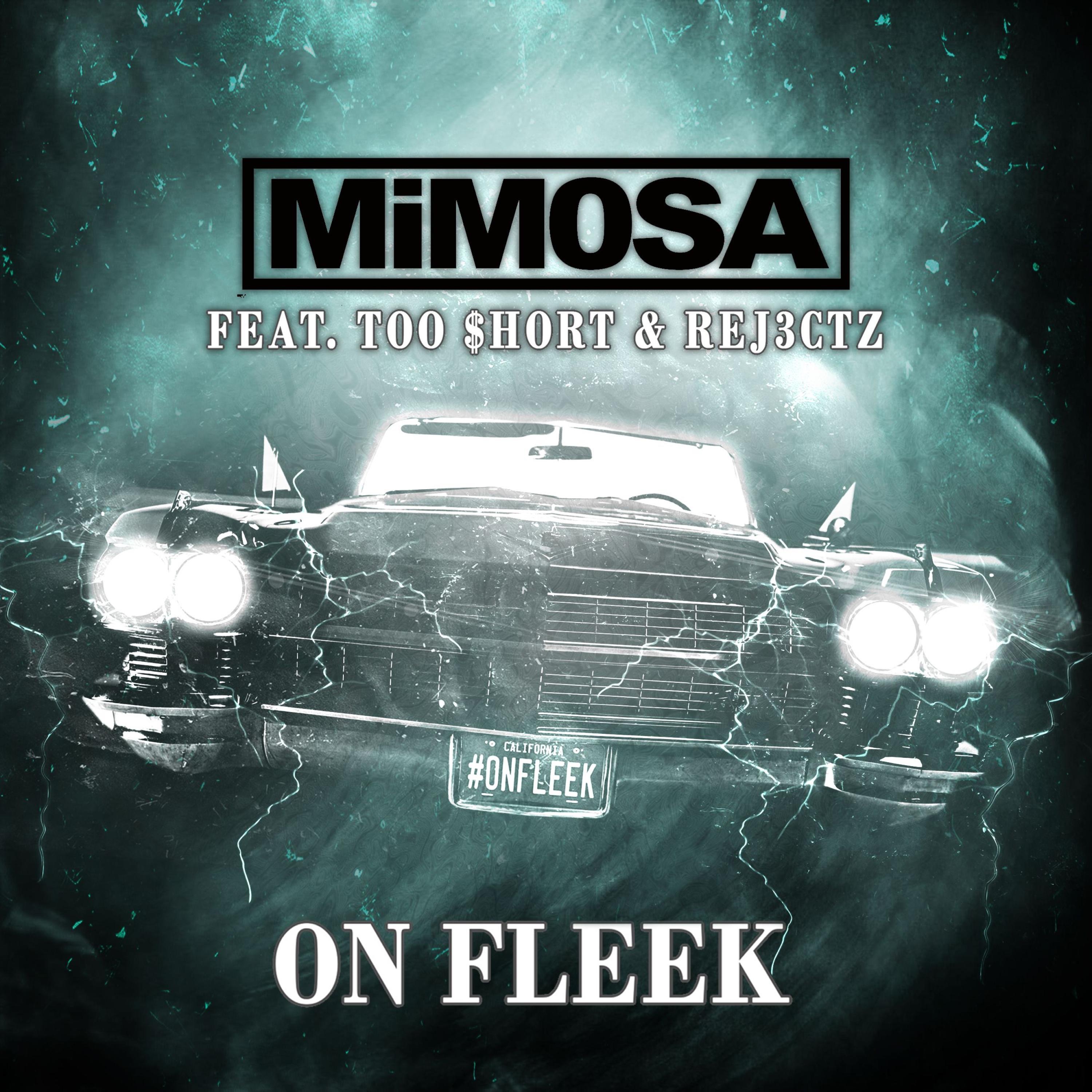 On Fleek (feat. Rej3ctz & Too $hort) - Single album cover