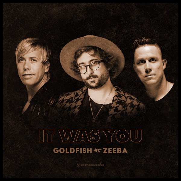 It Was You (With Zeeba) - Single album cover