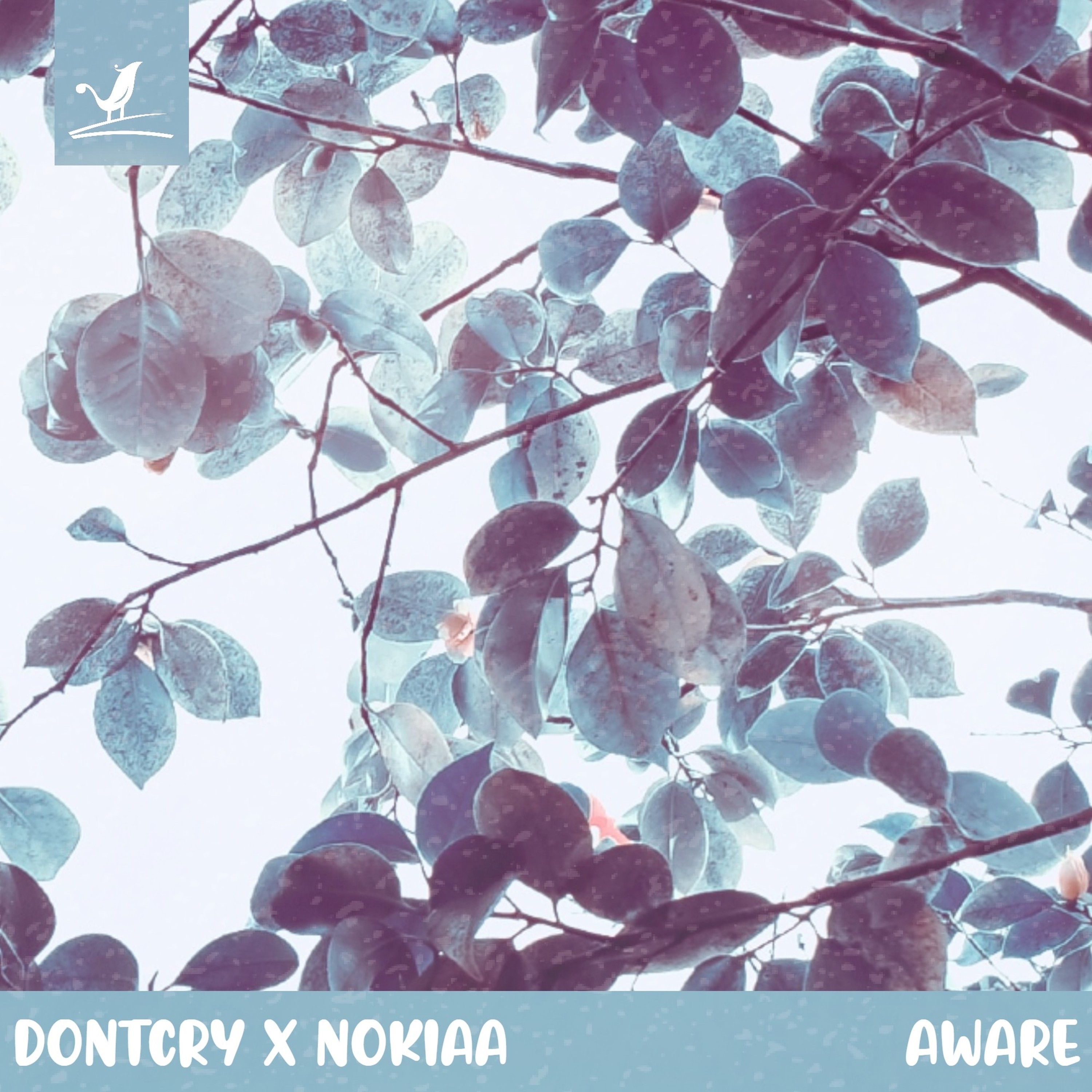 Aware - Single album cover