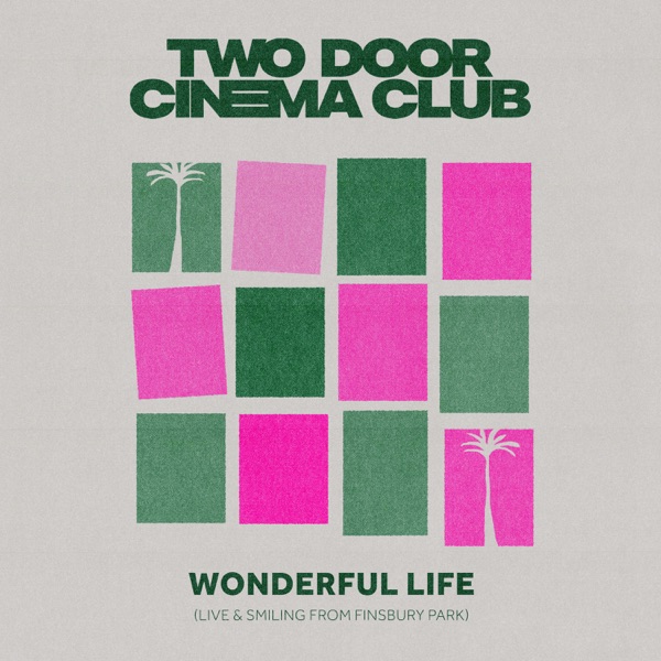 Wonderful Life (Live & Smiling From Finsbury Park) - Single album cover
