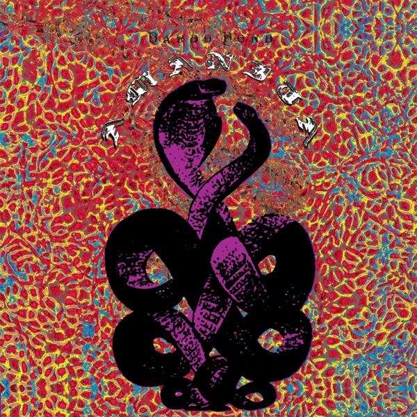 Amanita (Deluxe Edition) album cover