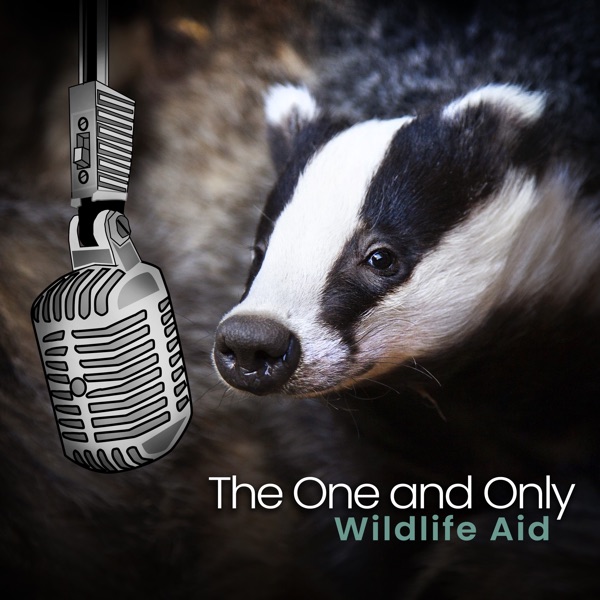 The One and Only (feat. Paul Young, Roachford, Tony Hadley, Tunde Baiyewu, Carol Decker, Kenny Thoma album cover