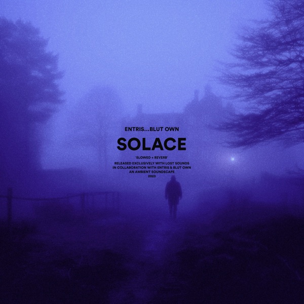 Solace (Slowed + Reverb) - Single album cover