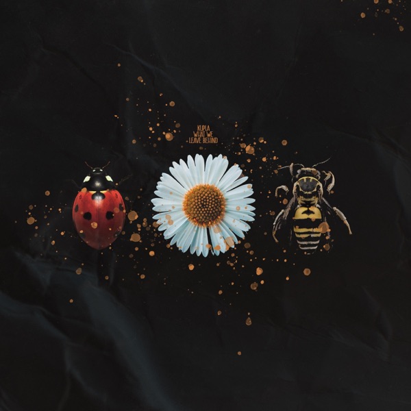 What We Leave Behind - Single album cover