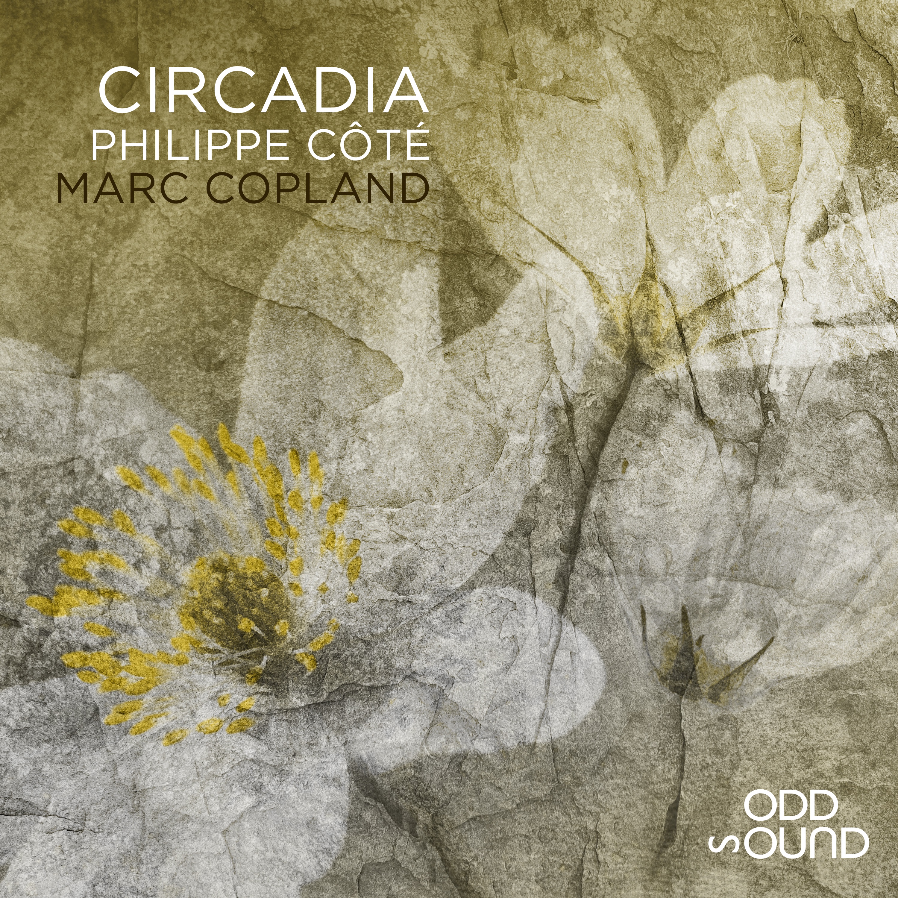 Circadia - Single album cover