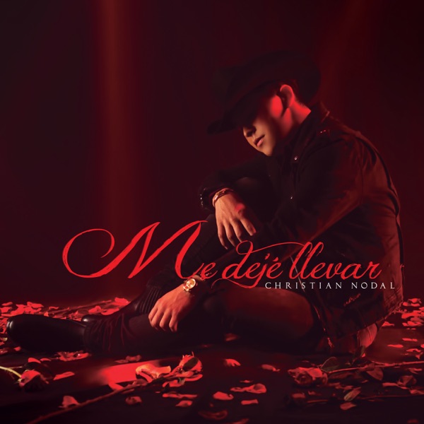Me Dejé Llevar album cover