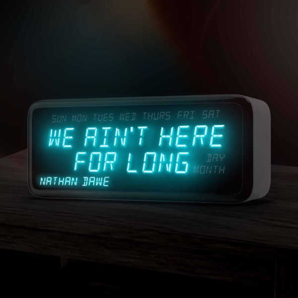 We Ain't Here For Long - Single album cover