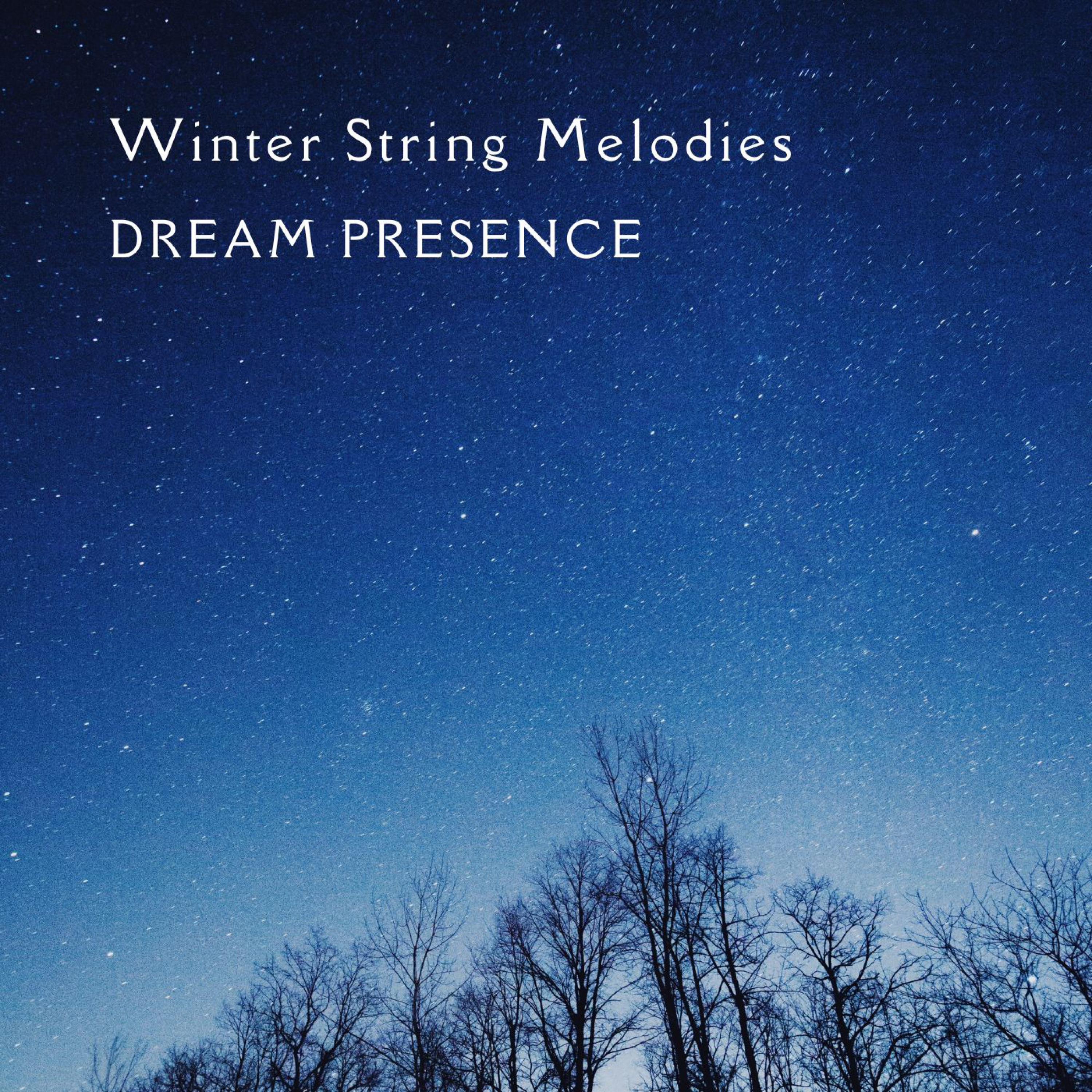 Winter String Melodies - EP album cover