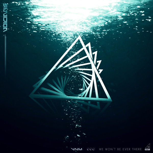 We Won't Be Ever There - Single album cover