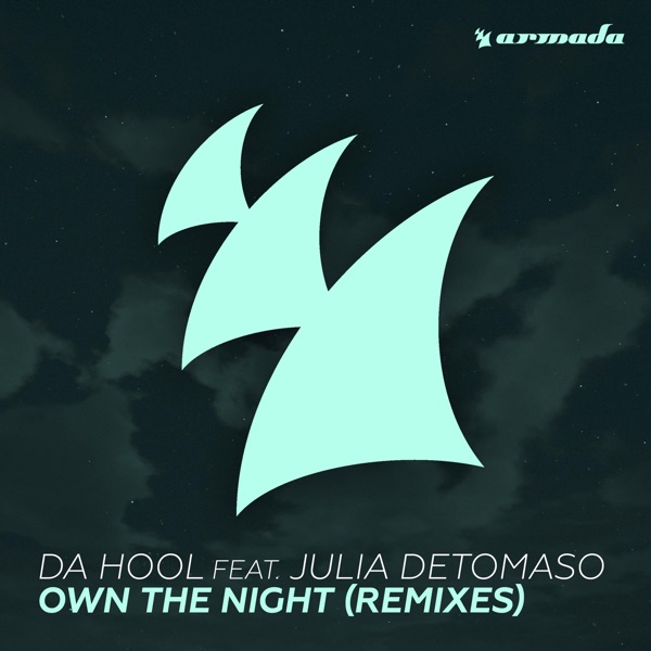 Own the Night (feat. Julia DeTomaso) [Remixes] - Single album cover