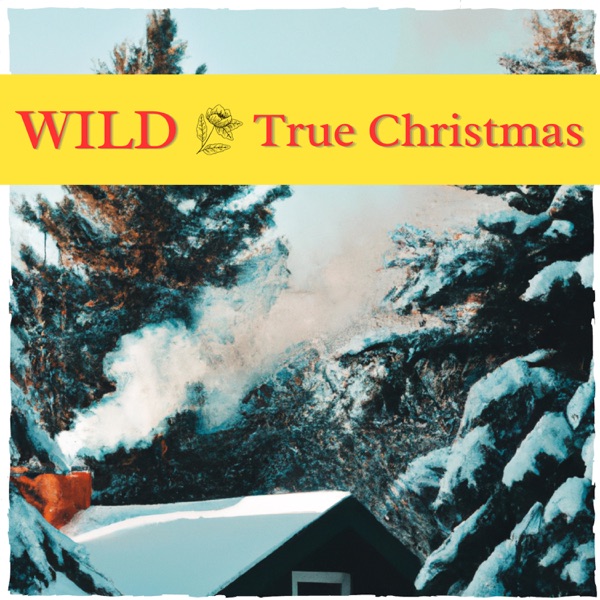 True Christmas - Single album cover