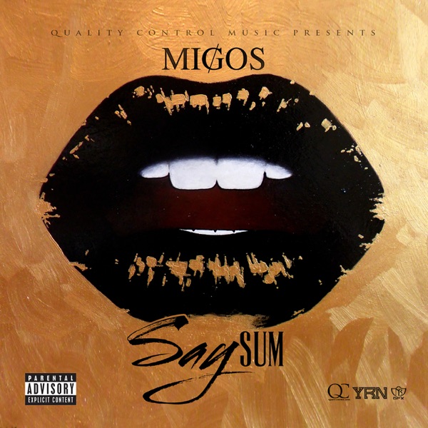 Say Sum - Single album cover
