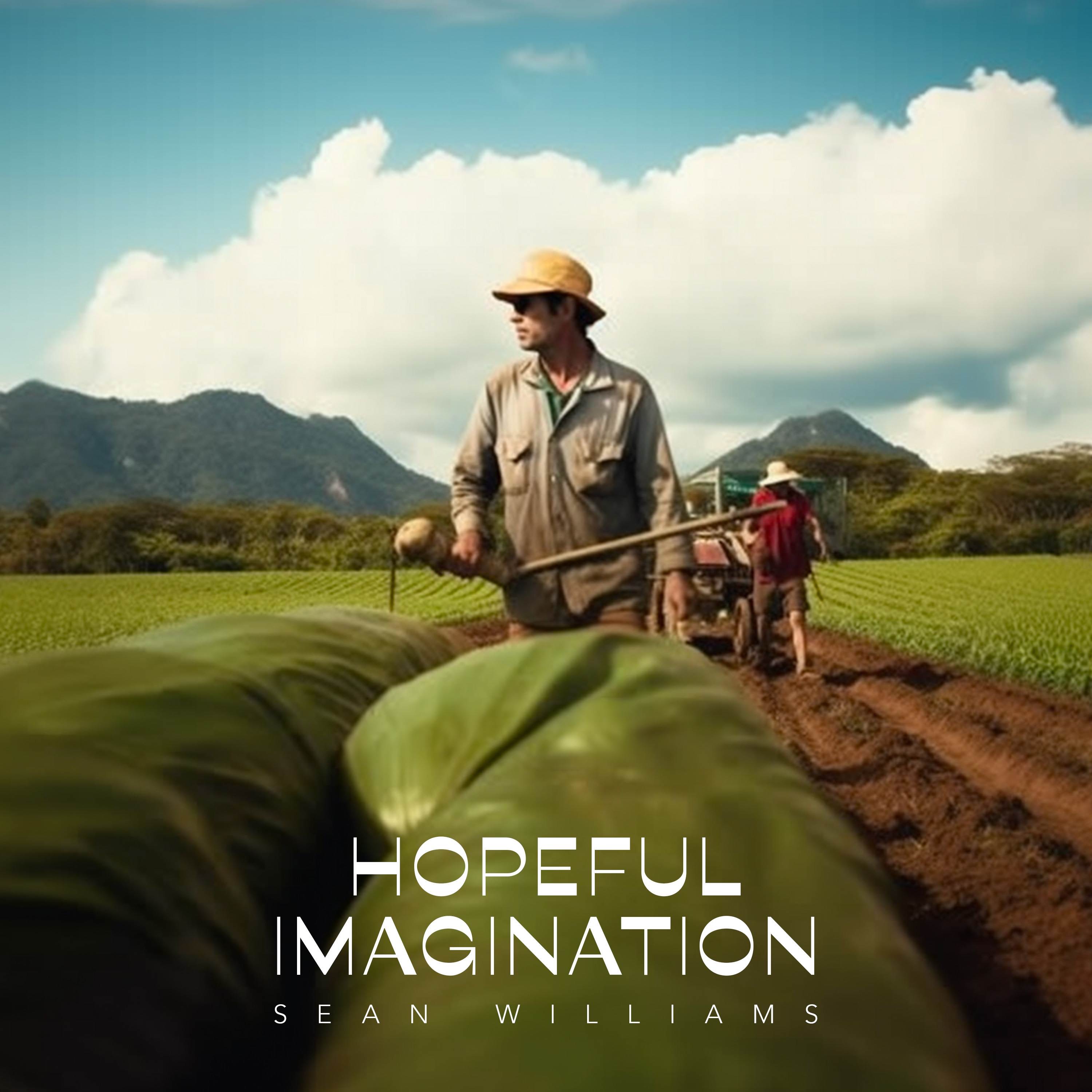 Hopeful Imagination - Single album cover