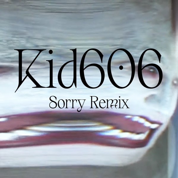 Sorry (Kid606 Remix) - Single album cover
