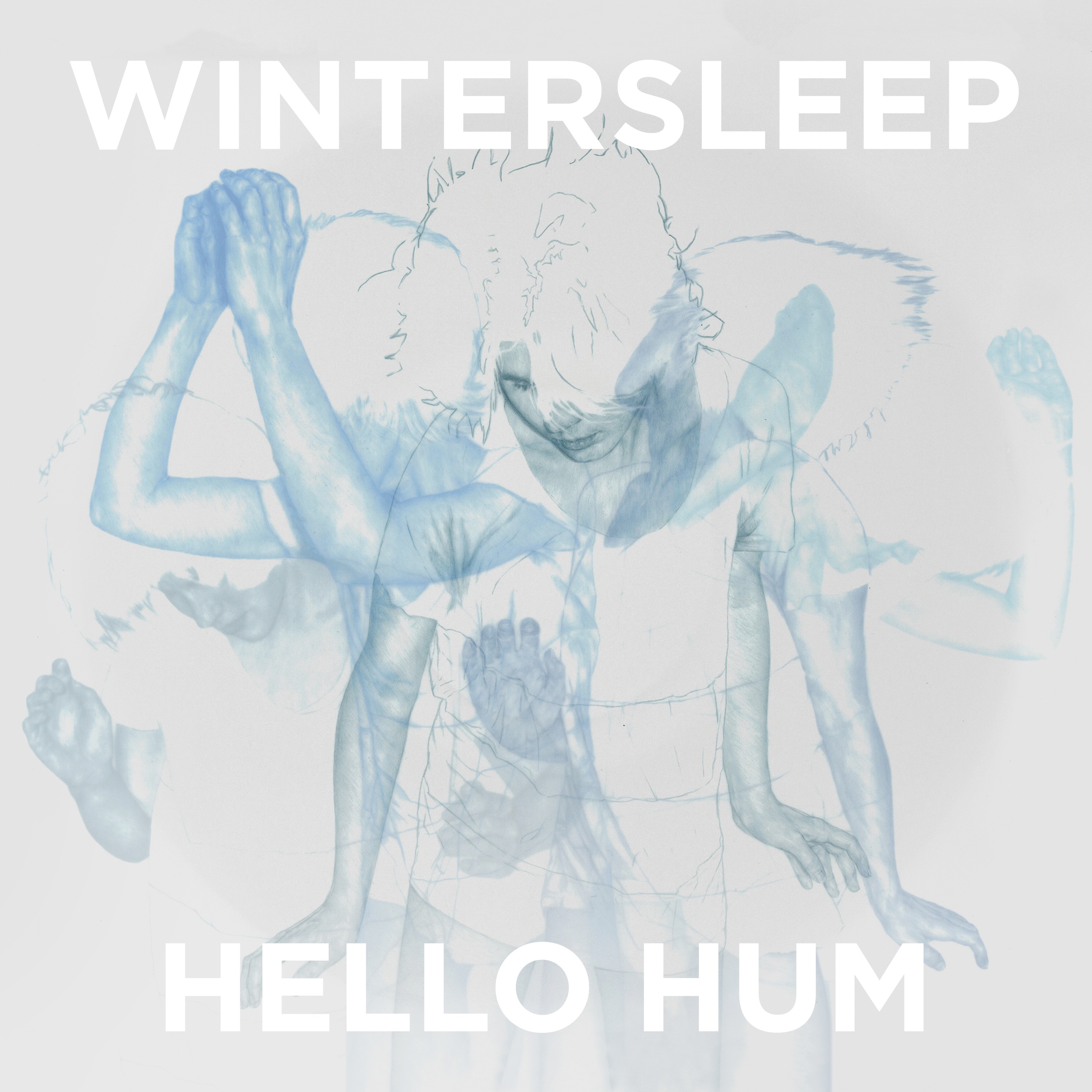 Hello Hum album cover