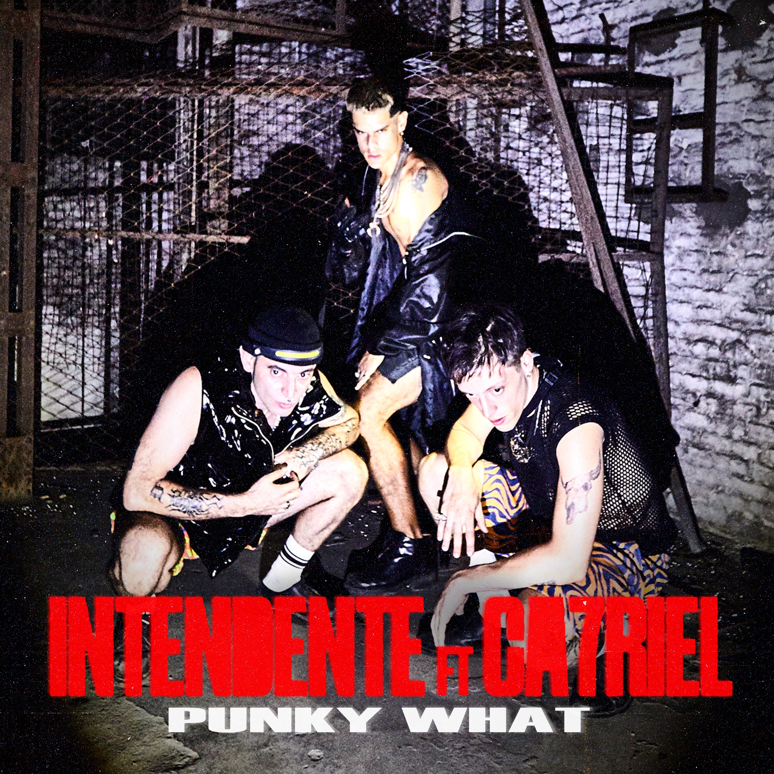PUNKY WHAT (feat. CA7RIEL) - Single album cover