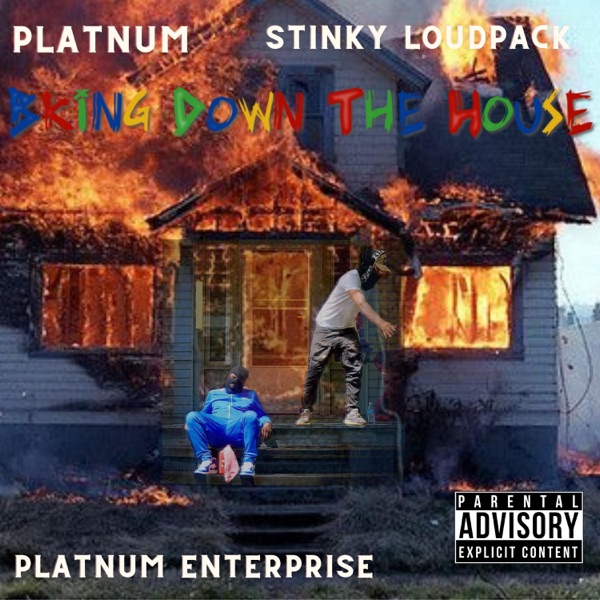 Bring Down the House (feat. Platnum & Stinky Loudpack) - Single album cover