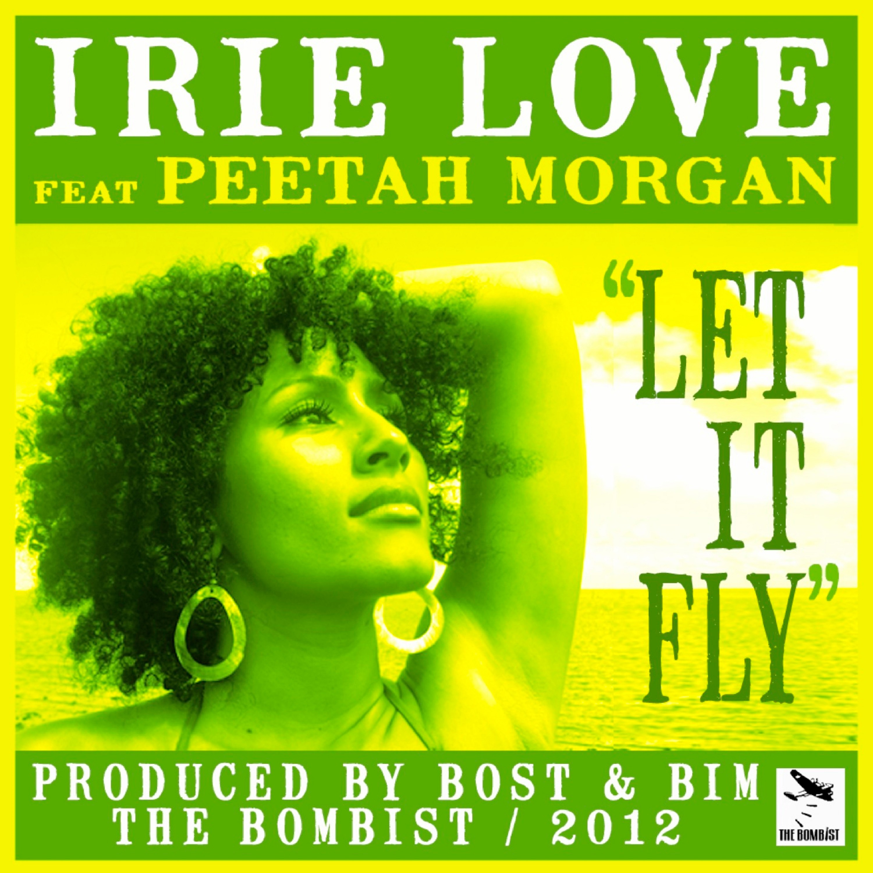 Let It Fly - Single album cover