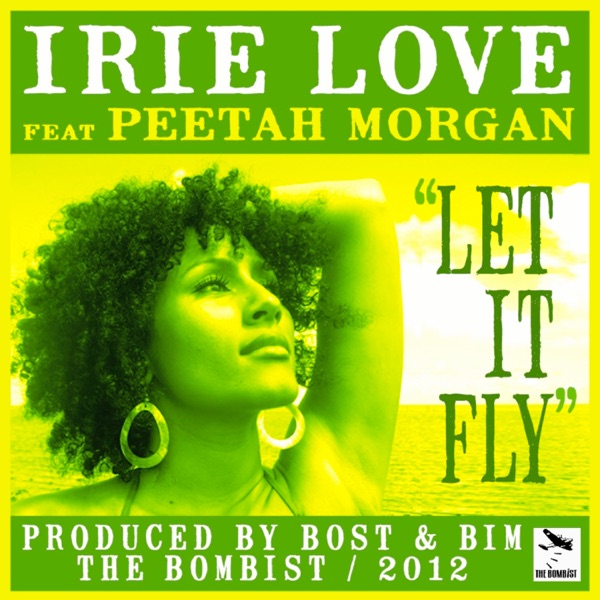 Let It Fly - Single album cover
