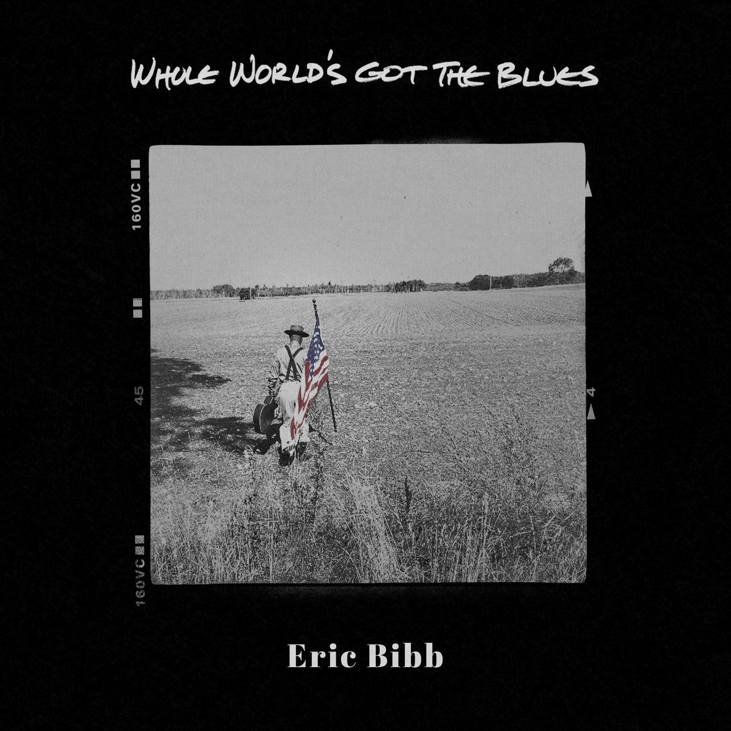 Whole World's Got the Blues - Single album cover