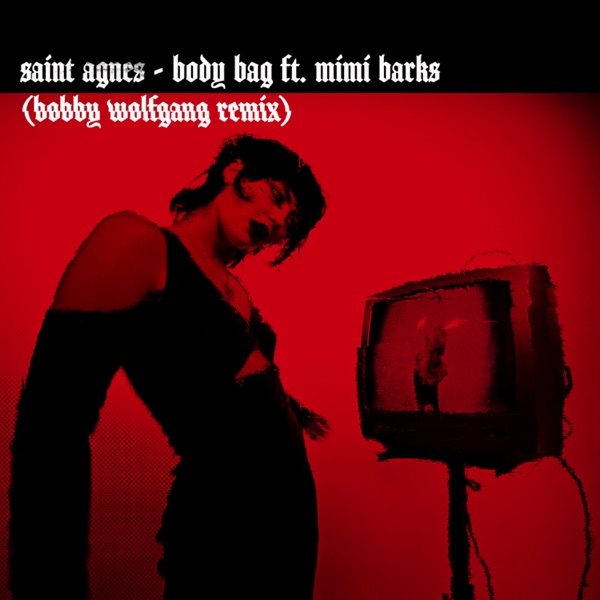 Body Bag feat. Mimi Barks (Bobby Wolfgang Remix) - Single album cover