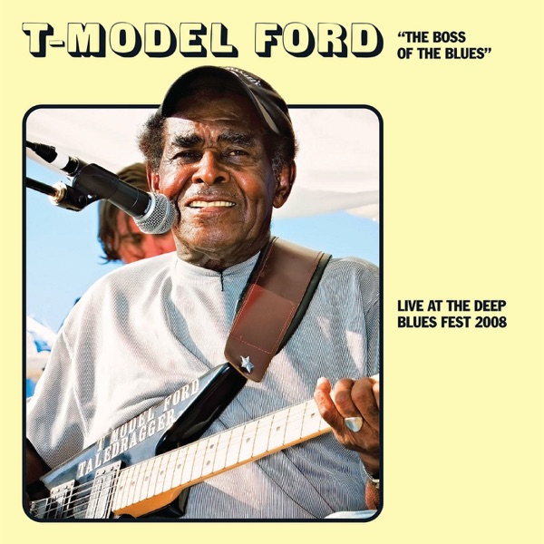 Hip Shakin' Woman (Live At the Deep Blues Fest 2008) - Single album cover