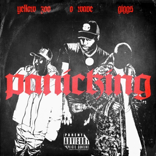 Panicking - Single album cover